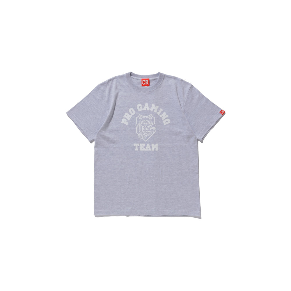 PGT LOGO TEE GRAY