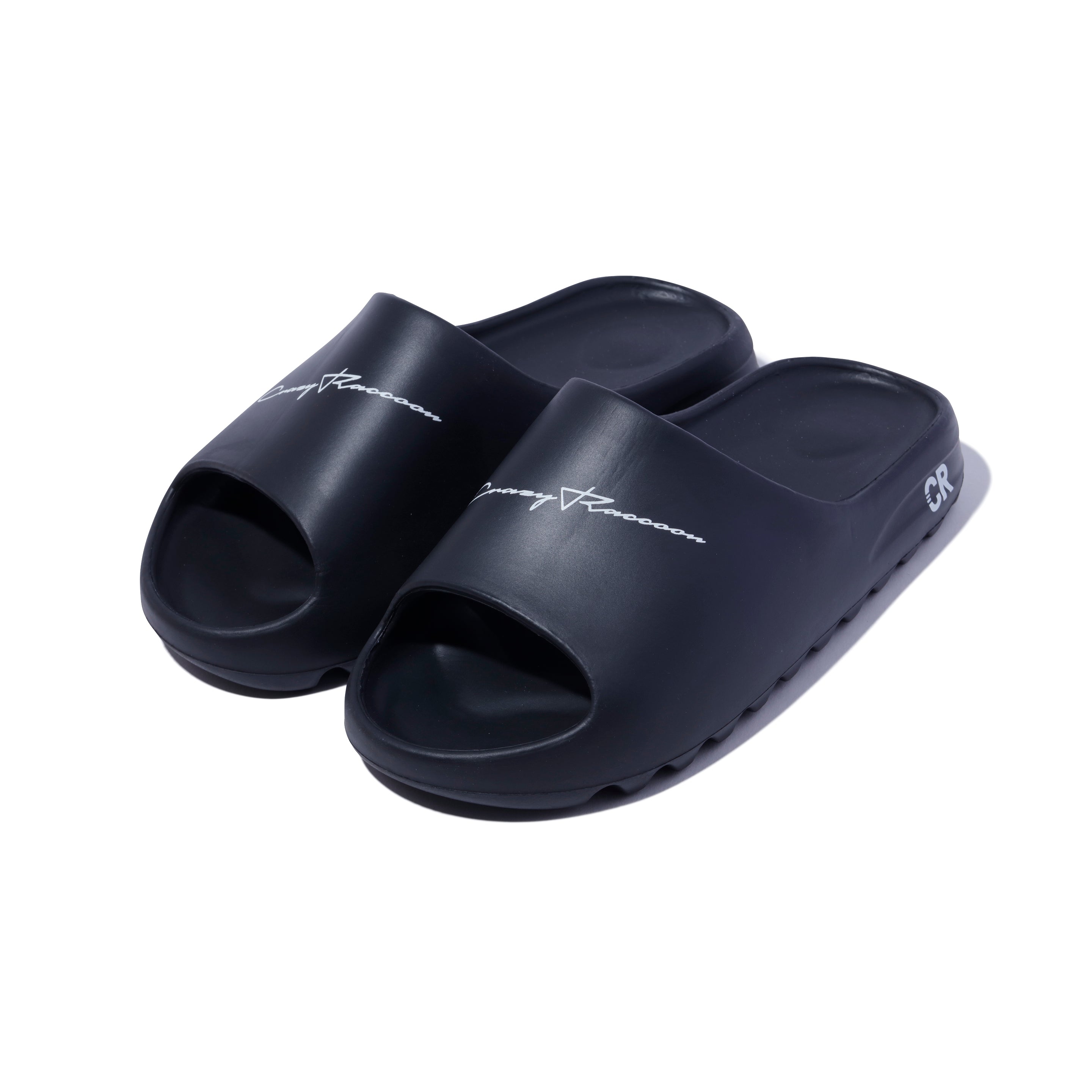 CR SLIDES – CRAZY RACCOON