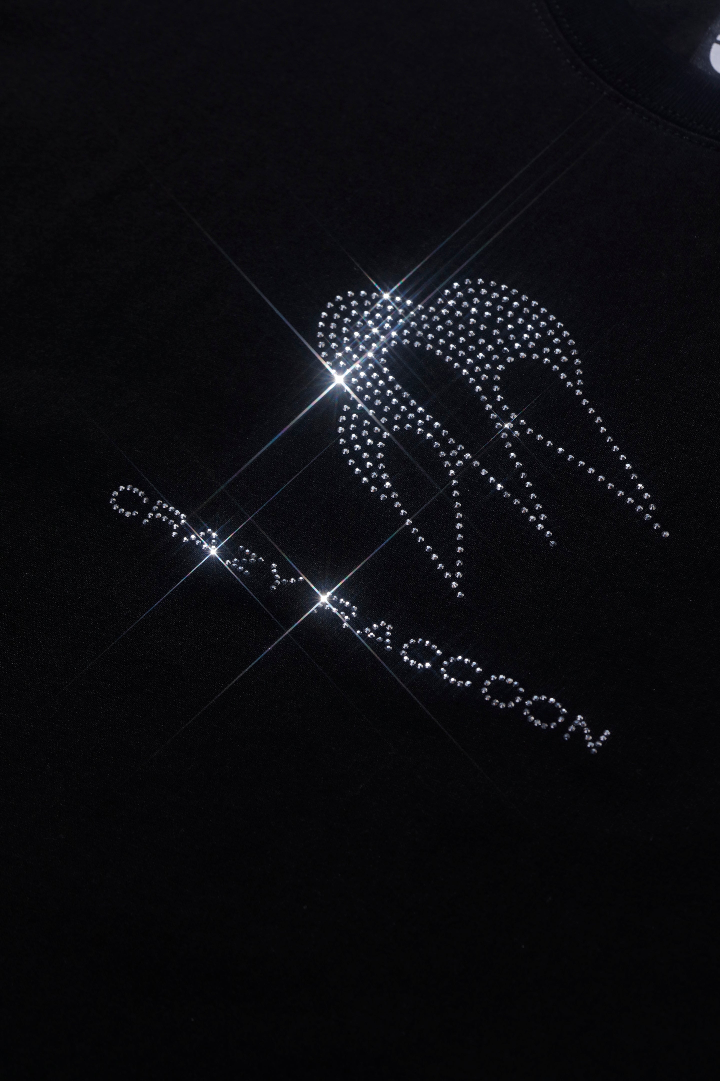 t.japan raccoon cropped knit ブラック CRAZY RACCOON LOGO SC EMBROIDERY TEE BLACK