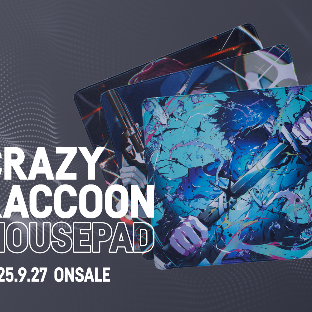 CRAZY RACCOON