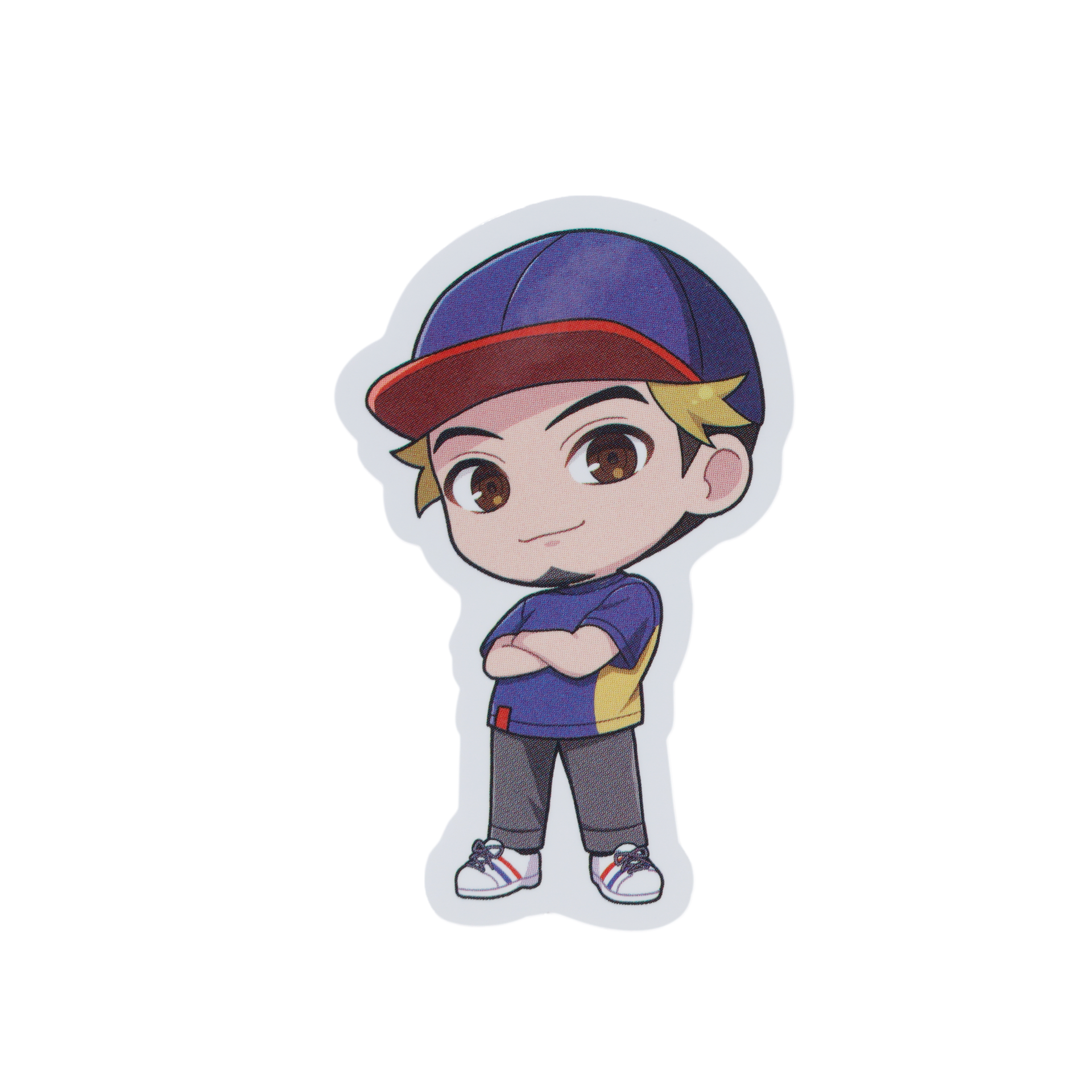 BONCHAN MINI STICKER – CRAZY RACCOON