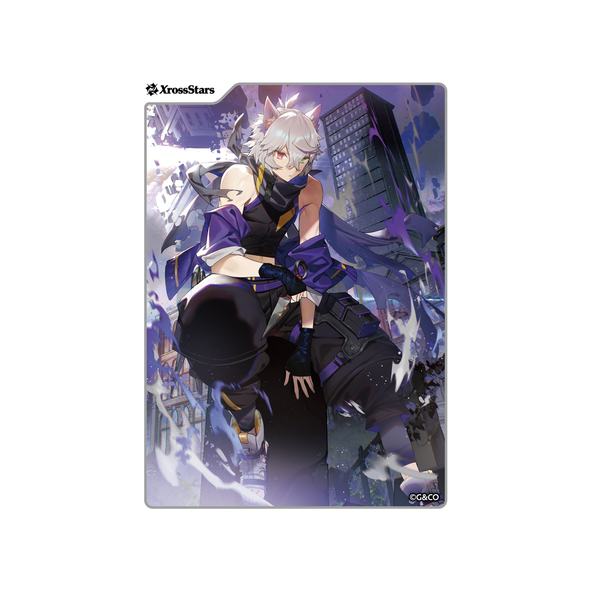 RY-809 未開封 Crazy Raccoon クリアうちわ 全6種 GiGO RY-809 未開封 Crazy Raccoon クリアうちわ 全6種 GiGO
